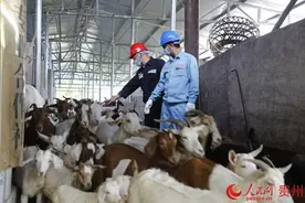 贵州电网公司：“业扩延伸”为客户创业致富减负超17亿元图片