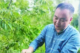 岳西：打造返乡青年创业的乐土图片