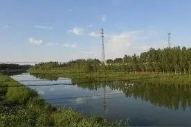 马颊河畔两个“家”图片