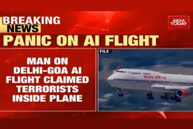 印度男子飞机上报告“有恐怖分子”落地后立马被抓图片