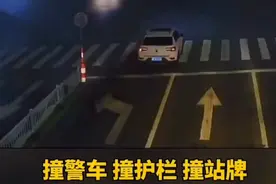 这一系列的迷惑行为！肇事司机，你是想怎么样呢？视频封面