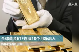 全球黄金ETF连续10个月净流入视频封面