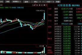 一天输掉一套房！可转债炒作太疯狂，尾盘“高台跳水”，两大交易所齐出手图片