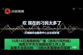 干部称“刁民太多”只是因为口无遮拦？图片
