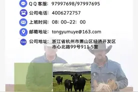 新骗局！黔西南一男子和朋友“网上养牛”被诈骗40万图片