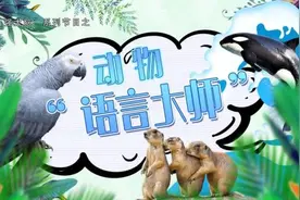想和动物交流吗？这几招教会你听懂动物的语言图片