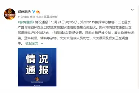 突发！郑州南四环大火！18辆消防车到场处置图片