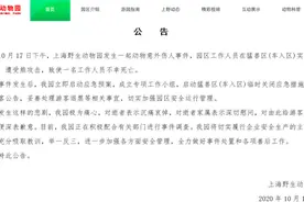 面对“野性十足”的动物，没有任何情形是“安全”的图片