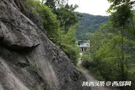 紫阳夫妻留守大山养千只鸡种两亩地 收入不多生活安逸图片