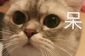 惊！高速路上刹车突然失灵怎么办？图片