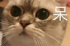 惊！高速路上刹车突然失灵怎么办？图片