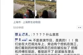 “熊伤人”事件背后，上海野生动物园里的安全隐患图片