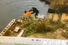 女子系鞋带被同伴推下水库，双双溺亡！视频曝光图片