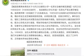 汉中一小学生教学楼坠楼，官方通报图片