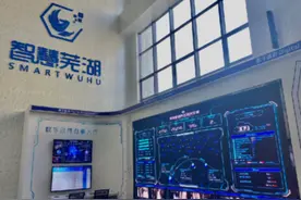 「2020·指尖城市」构建城市大脑共享经济生态 推动数字芜湖产业高质量发展图片