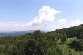 对话林业英雄 | 英雄礼赞！《全国林业英雄之歌》奏响林业最强音图片