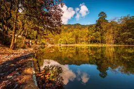 好耍在四川 | 彩林绚烂、硕果丰收，在雅安品尝秋冬酸甜滋味~图片