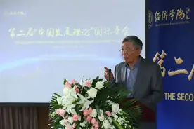 杨伟民：规划在中国经济发展中的作用图片