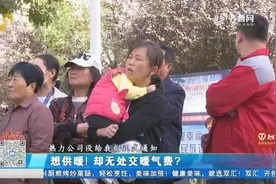 供暖管道维修,物业要业主平摊几十万维修费,一看维修清单业主急眼视频封面