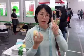 玉米吃货们大有口福！200多种玉米新品种百花齐放，总有一款适合你图片