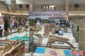 专家把脉玩教具“不可替代”之路：走向数据化、可视化图片