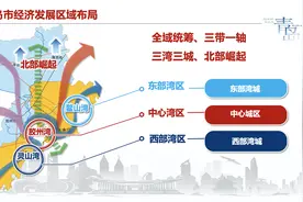 青岛市推介会在浦东新区举行：青岛树立了一个标杆图片