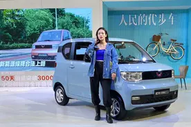 第五届海南新能源汽车展览 多款网红车价位低受关注图片