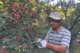 太行山“愚公”凿石三个月修出脱贫路图片
