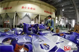 探访｜河北邢台南和区：“小宠物”如何做到百亿元产值图片