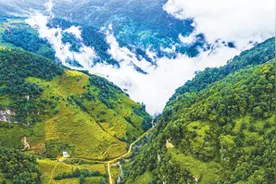 青山是个好地方图片