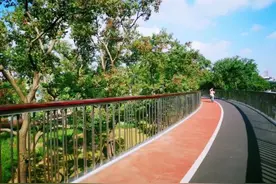 感受上海的美丽秋色，这5条骑行线路收藏起来图片