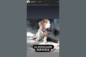 杨丞琳因枕边没人一周不洗头 和李荣浩200天没见图片