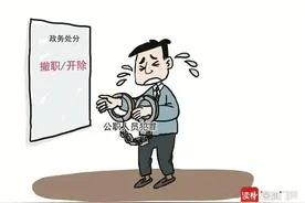 公职人员犯罪应当给予什么政务处分？图片