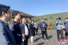 乡村振兴看沂蒙｜十年整山治水 临沂马泉成为致富“花果山”图片
