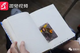 急！黔灵山猕猴数量已超标三倍！一年伤人近6000次，公园崩溃图片