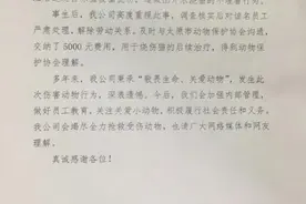 半月谈｜“网上虐猫”：要虐杀到重惩的那一天？图片