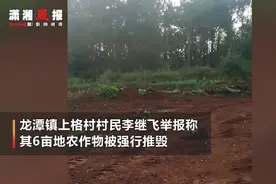 因赔偿协商未果 村民称其600多棵花椒树被强行铲毁 村干部：他同意了的视频封面
