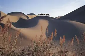 每日一句 | 时间好比一把锋利的小刀图片