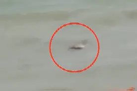 3分钟生死时速！兵哥哥紧急救援堪比大片图片