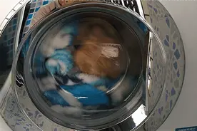 洗衣机洗袜子到底卫不卫生？会不会传染真菌？很多人可能都搞错了图片