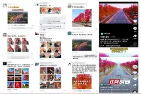 益阳的“网红公路”争相拍照打卡，为了“红”不要命了？图片