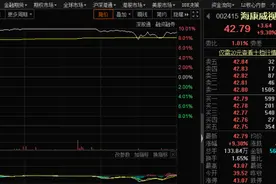 四千亿海康威视飙历史新高，私募大佬或为幕后推手图片