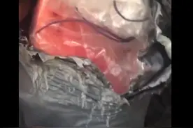 虐猫男子老家不断收到花圈寿衣，家里只有老人住，律师：涉嫌恐吓不可取图片