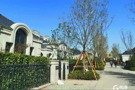 瞄准“银发族”，房企抢滩布局青岛养老市场，“康养小镇”遍地开花图片