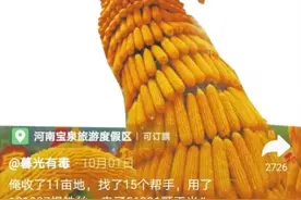 “老家河南”文旅爆款短视频是如何诞生的？来看优秀创作者分享独门秘笈图片