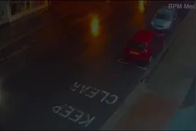 英国约85头奶牛夜晚出逃在街上狂奔图片