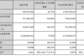 罕见！营收大减，净利大增，这家券商不一般图片