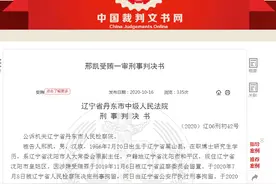 沈阳市委原副书记邢凯受贿细节公开：房子车子票子样样照收，为涉黑涉恶人员提供帮助图片