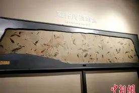 探访世界级古生物化石宝库 恐龙化石栩栩如生图片