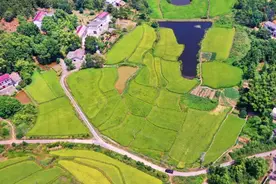 天元区：努力打造无人农场“天元样板”推动现代农业发展图片